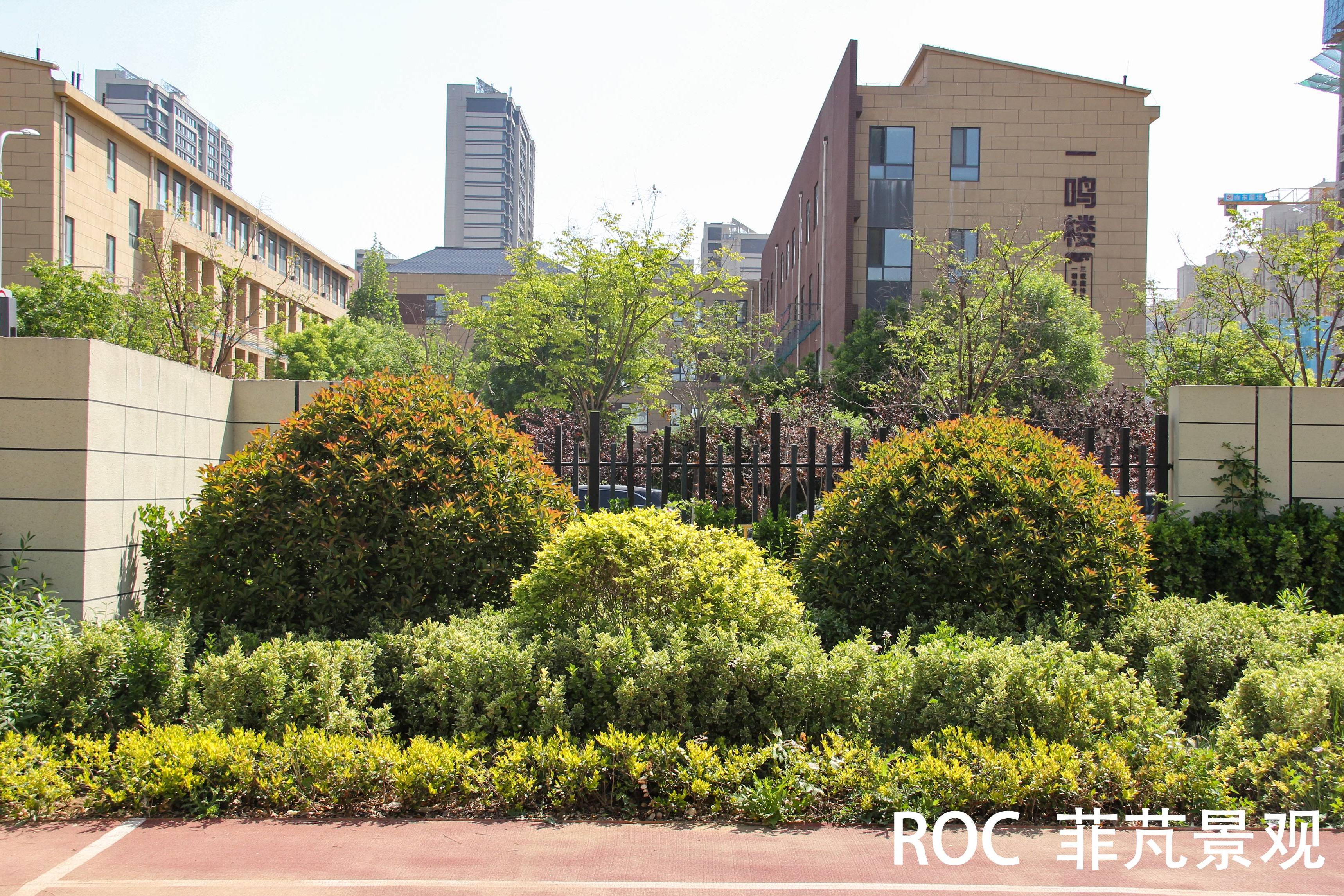 菲芃景觀·春季養(yǎng)護(hù)